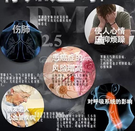 雾霾产生的疾病—榴莲视频WWW黄